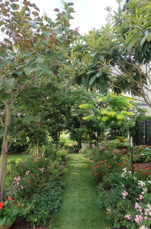 Screenshot 2024-08-24 001340