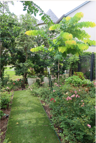 Screenshot 2024-08-24 001504