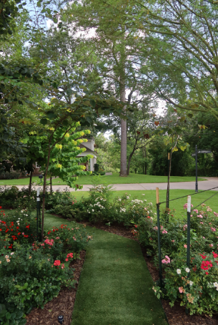 Screenshot 2024-08-24 001630