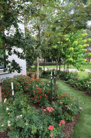 Screenshot 2024-08-24 001655