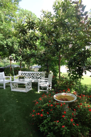 Screenshot 2024-08-24 001839