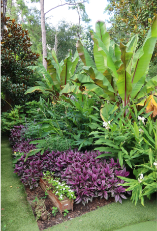 Screenshot 2024-08-24 002102