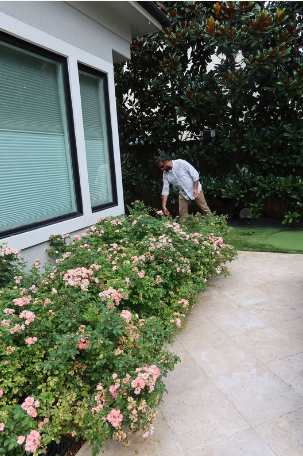 Screenshot 2024-08-24 002131