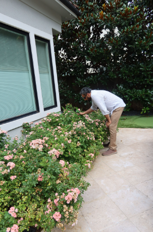 Screenshot 2024-08-24 002231